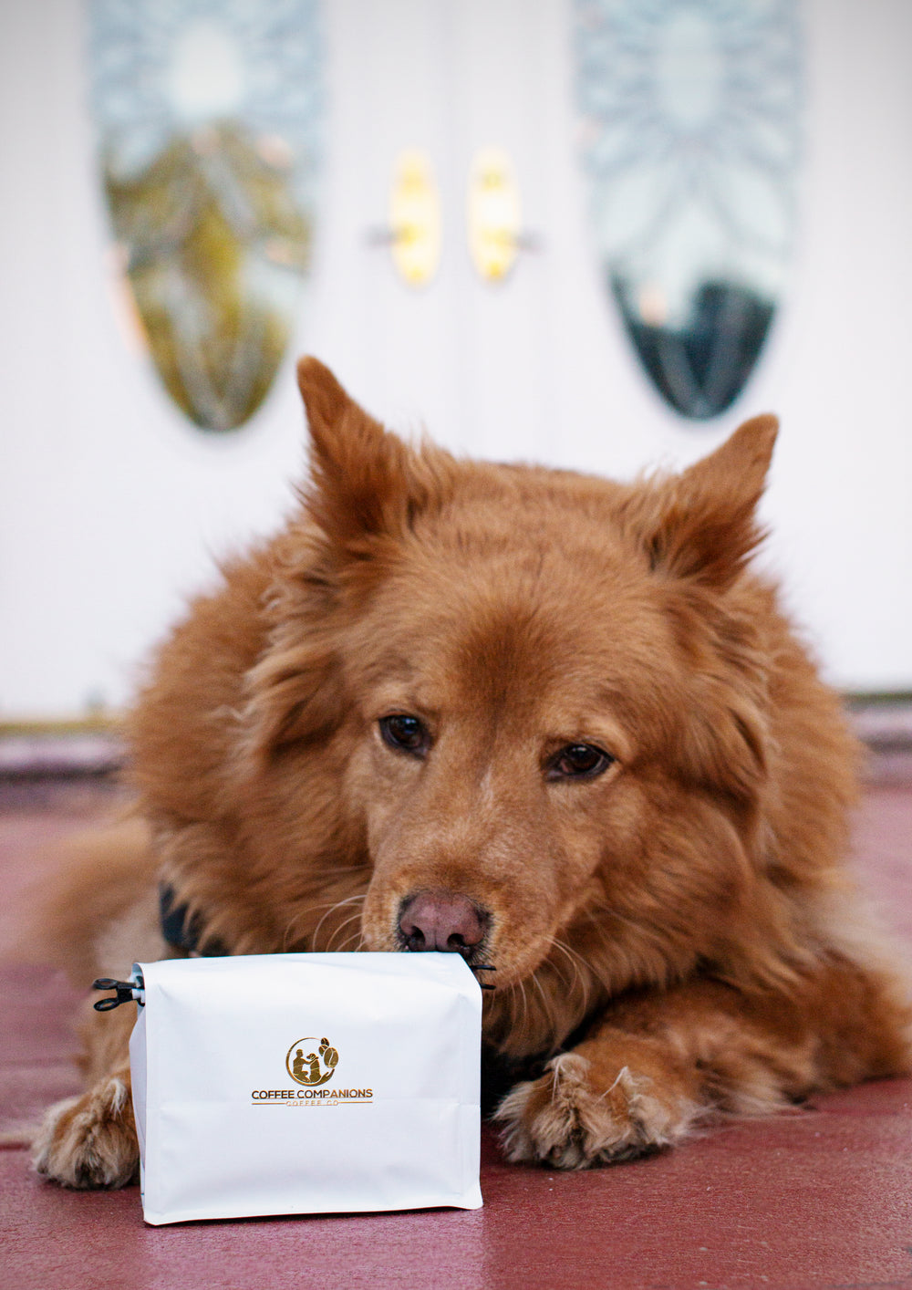 Golden Lab Blend 12oz